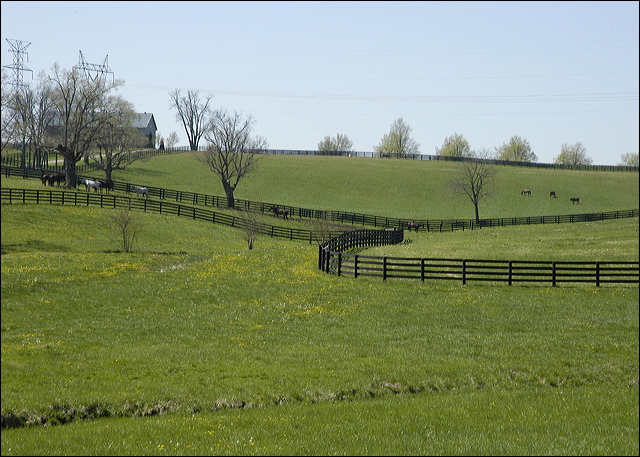 dsc_1553.jpg