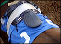 Racing Saddle