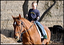 Learning to Ride